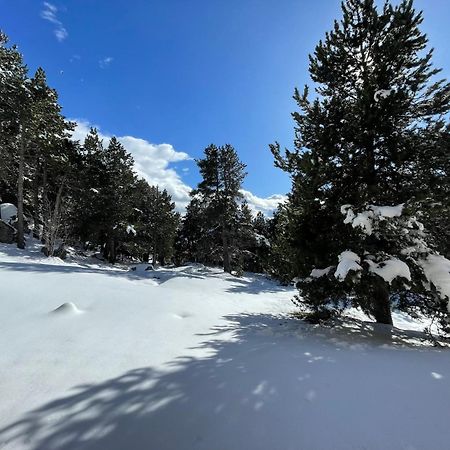 Joli Studio Pres De La Foret Font-Romeu-Odeillo-Via Exteriér fotografie