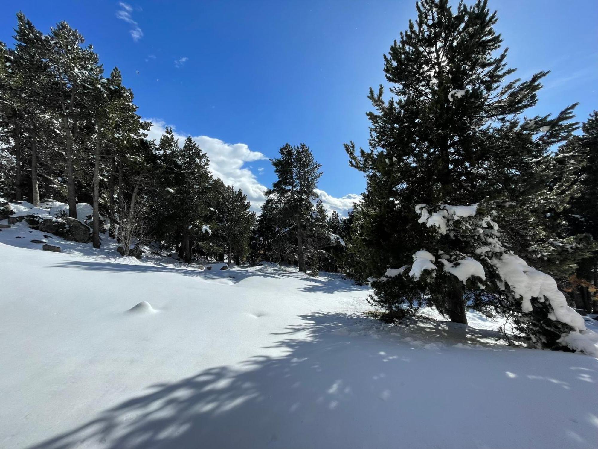 Joli Studio Pres De La Foret Font-Romeu-Odeillo-Via Exteriér fotografie